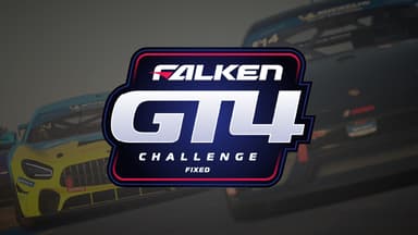 GT4 Falken Tyre